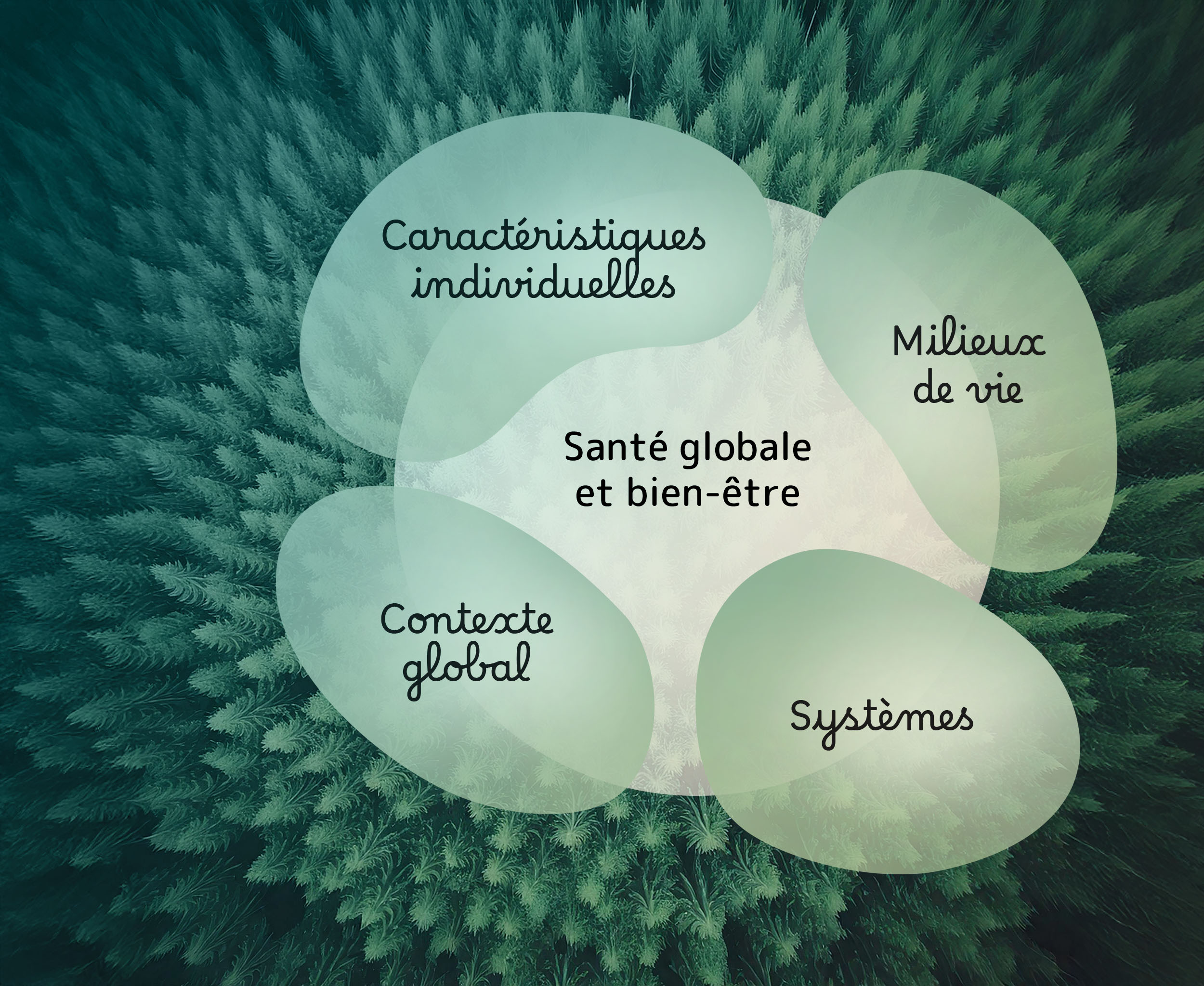 Schéma des déterminants de la santé présentant les caractéristiques individuelles, les milieux de vie, les systèmes et le contexte global autour de la santé globale et du bien-être.